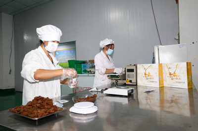 刺梨花开工人正在加工生产刺梨产品。